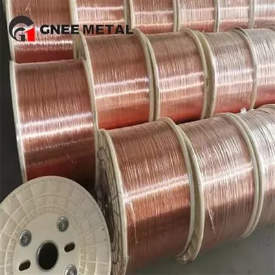 Cable de connexió a terra T2